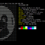neofetch_srv00.png